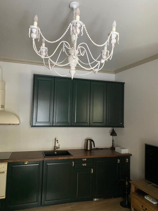 Exclusive Gaono Apartment In The Heart Of Old Town Vilnius Dış mekan fotoğraf